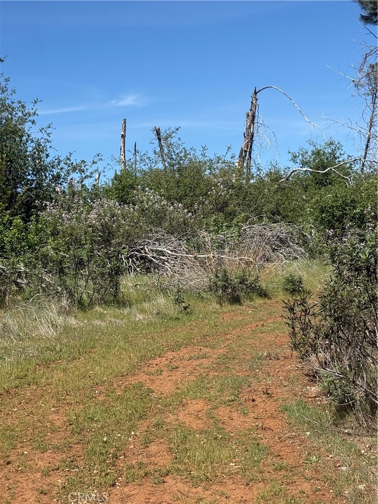 0 Round Valley Ranch Road Property Photo 15