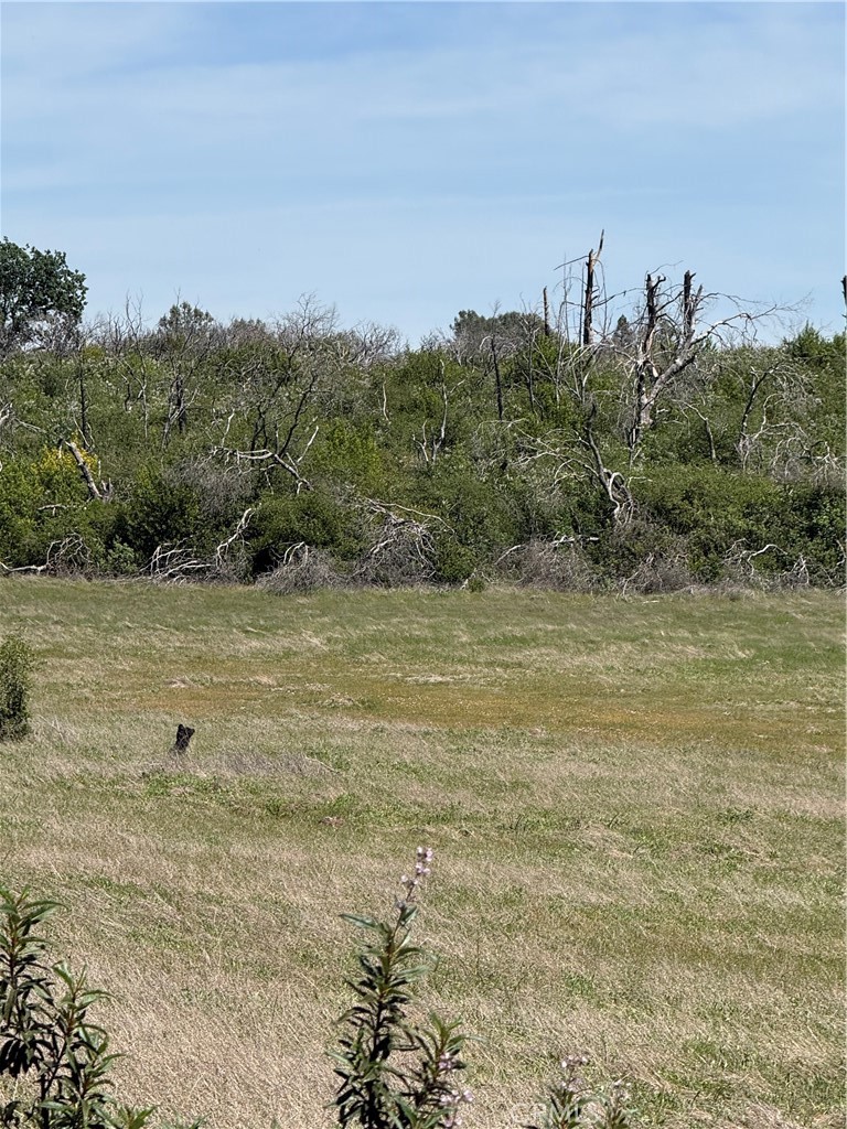0 Round Valley Ranch Road Property Photo 17