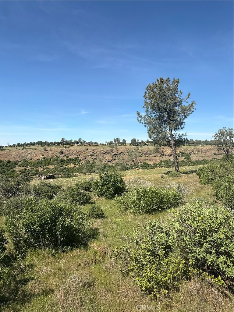 0 Round Valley Ranch Road Property Photo 19
