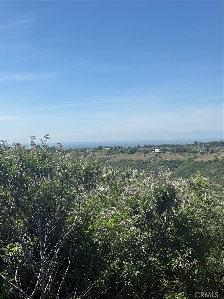 0 Round Valley Ranch Road Property Photo 22