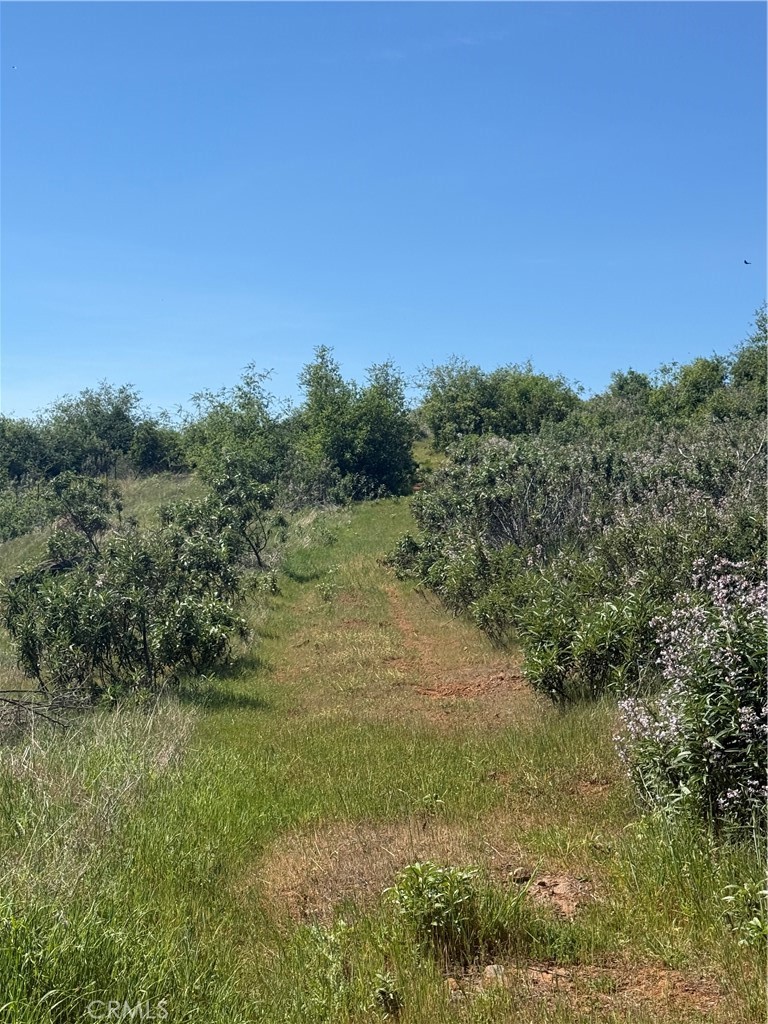 0 Round Valley Ranch Road Property Photo 23