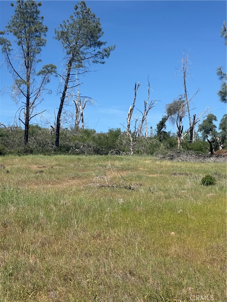 0 Round Valley Ranch Road Property Photo 24