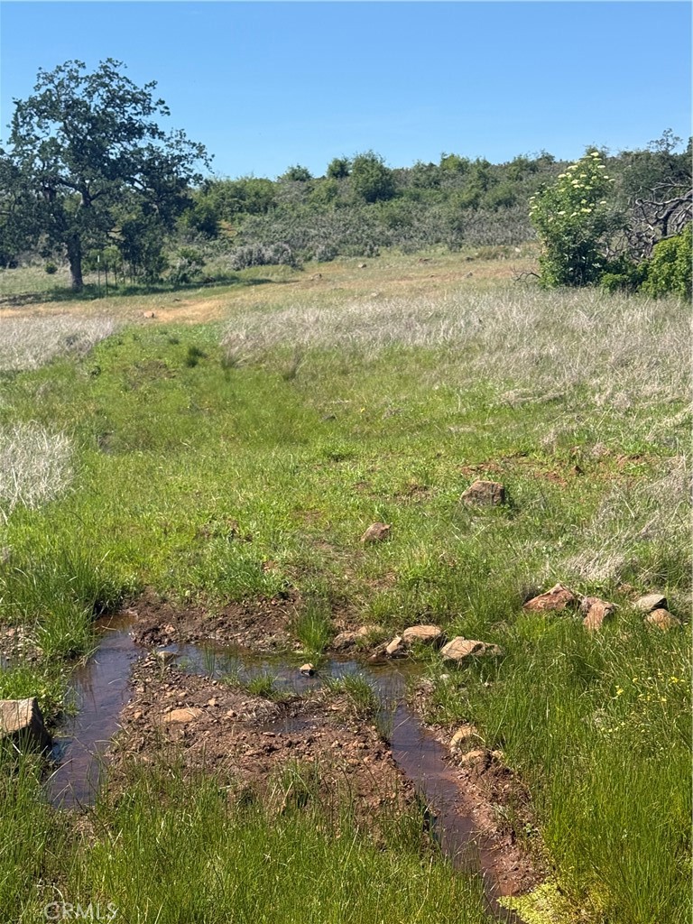 0 Round Valley Ranch Road Property Photo 25
