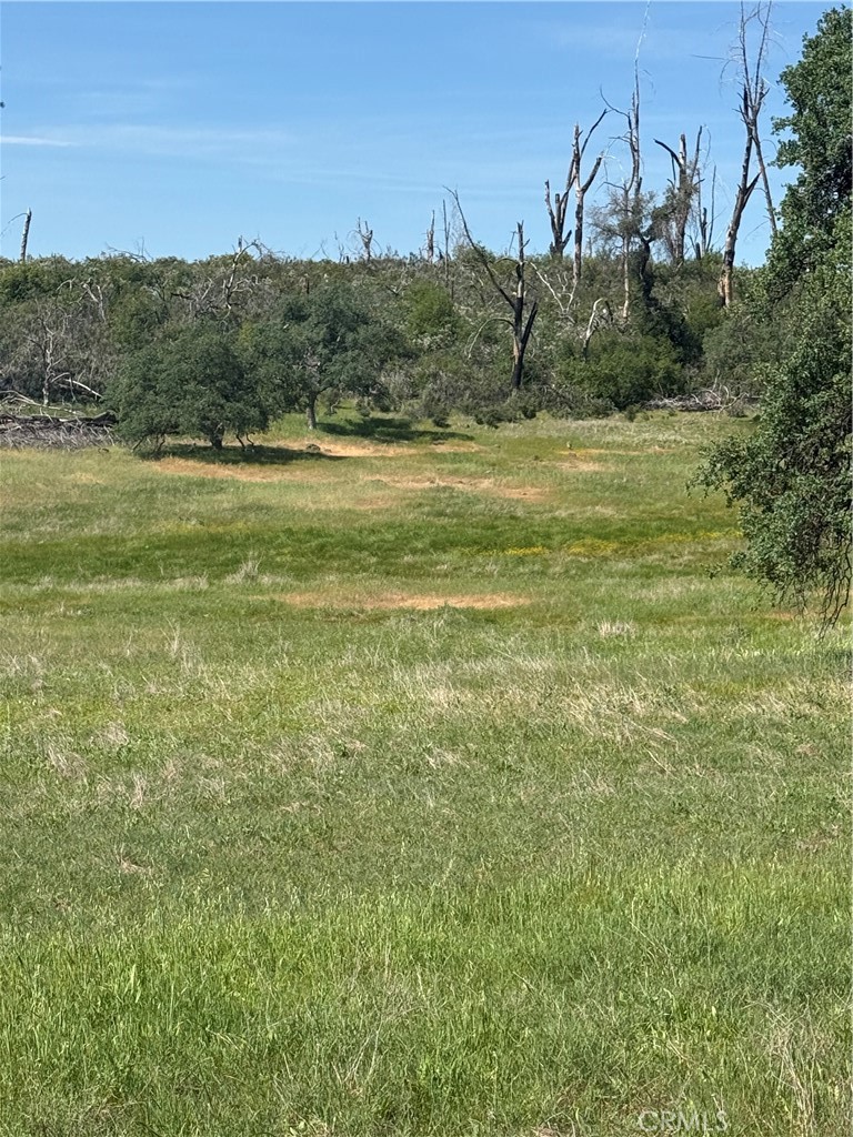0 Round Valley Ranch Road Property Photo 26