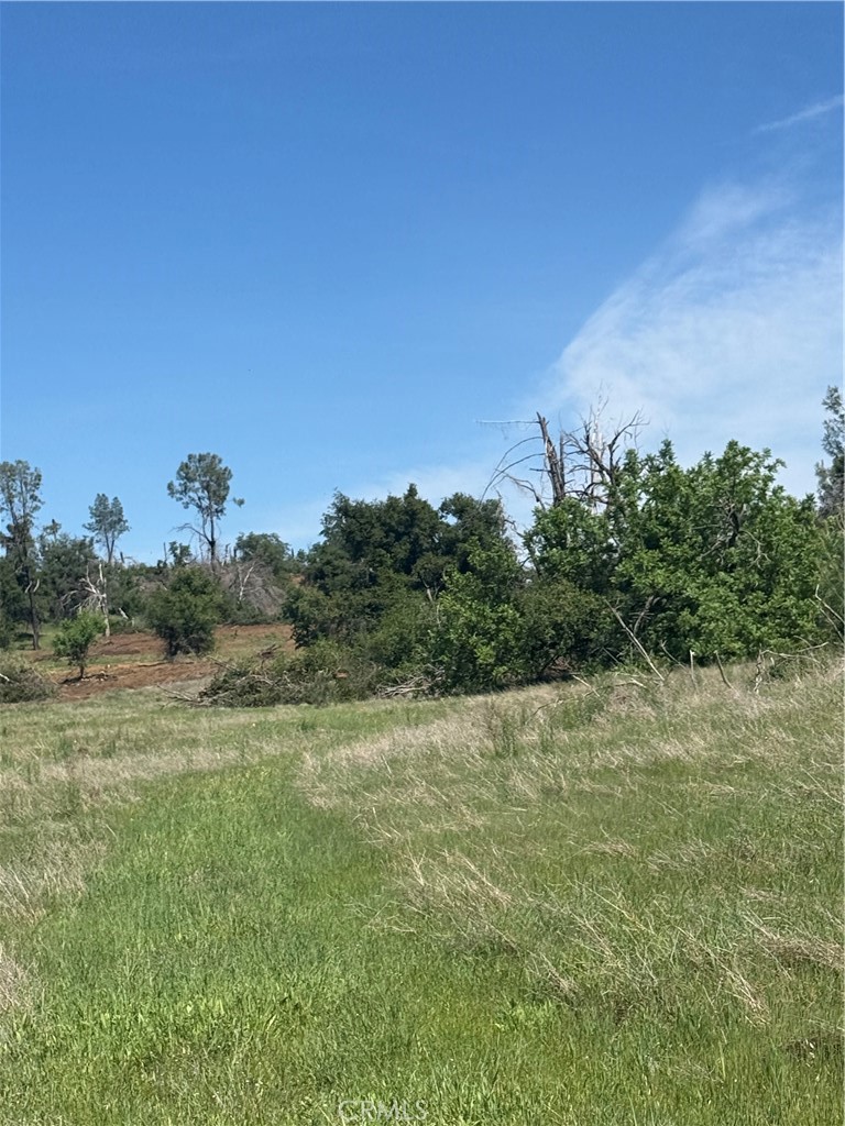 0 Round Valley Ranch Road Property Photo 27