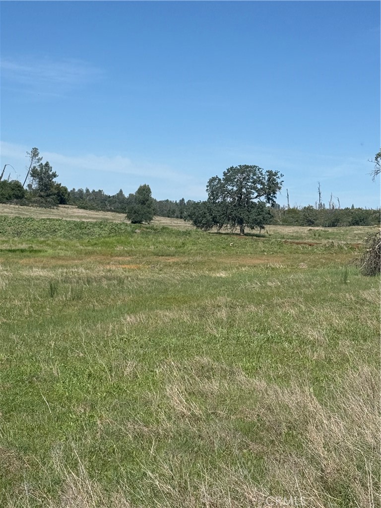 0 Round Valley Ranch Road Property Photo 28