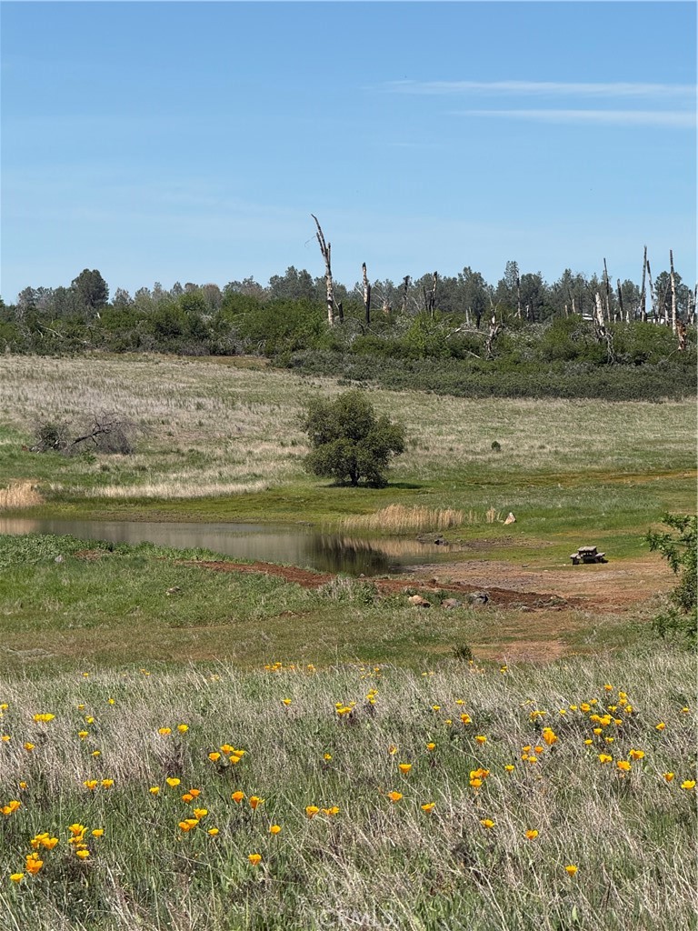 0 Round Valley Ranch Road Property Photo 30