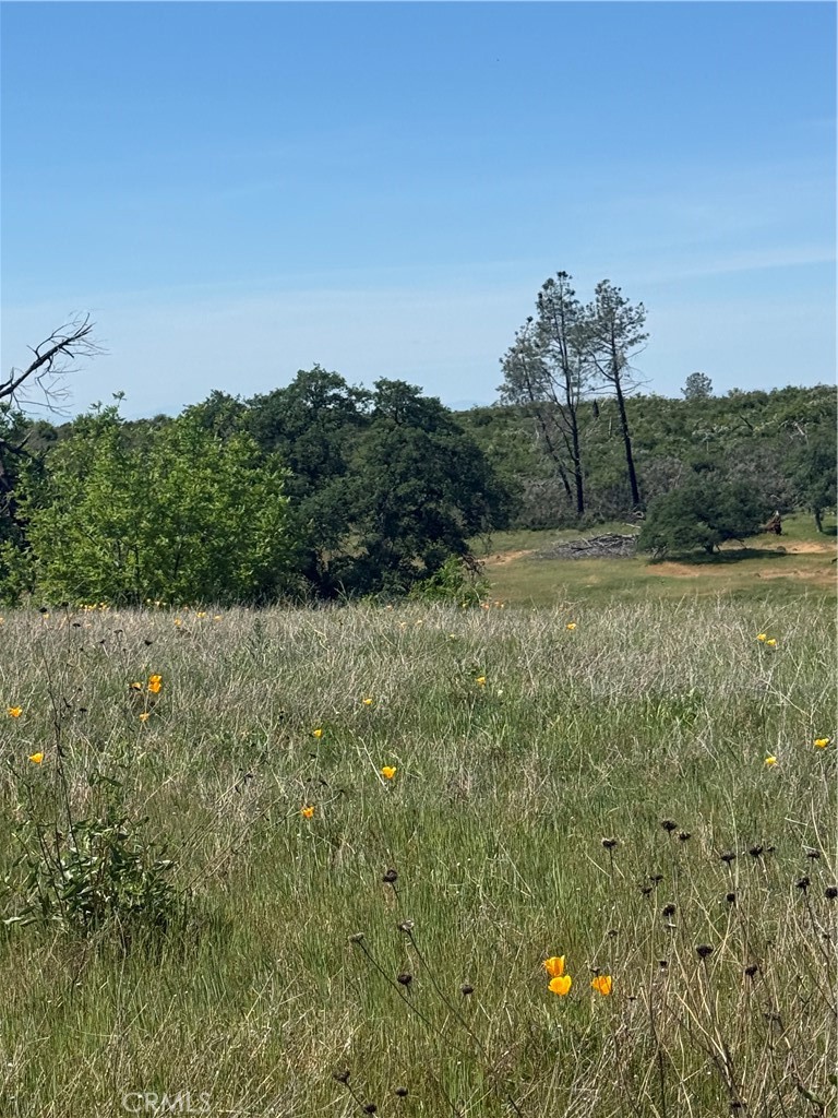 0 Round Valley Ranch Road Property Photo 31