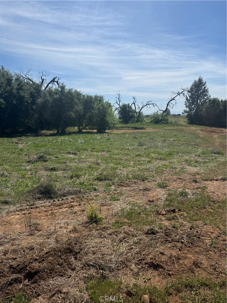 0 Round Valley Ranch Road Property Photo 33
