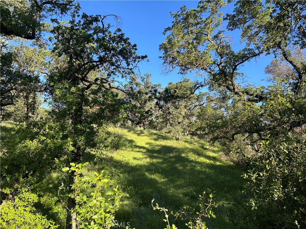 0 Rolling Oaks Property Photo 1