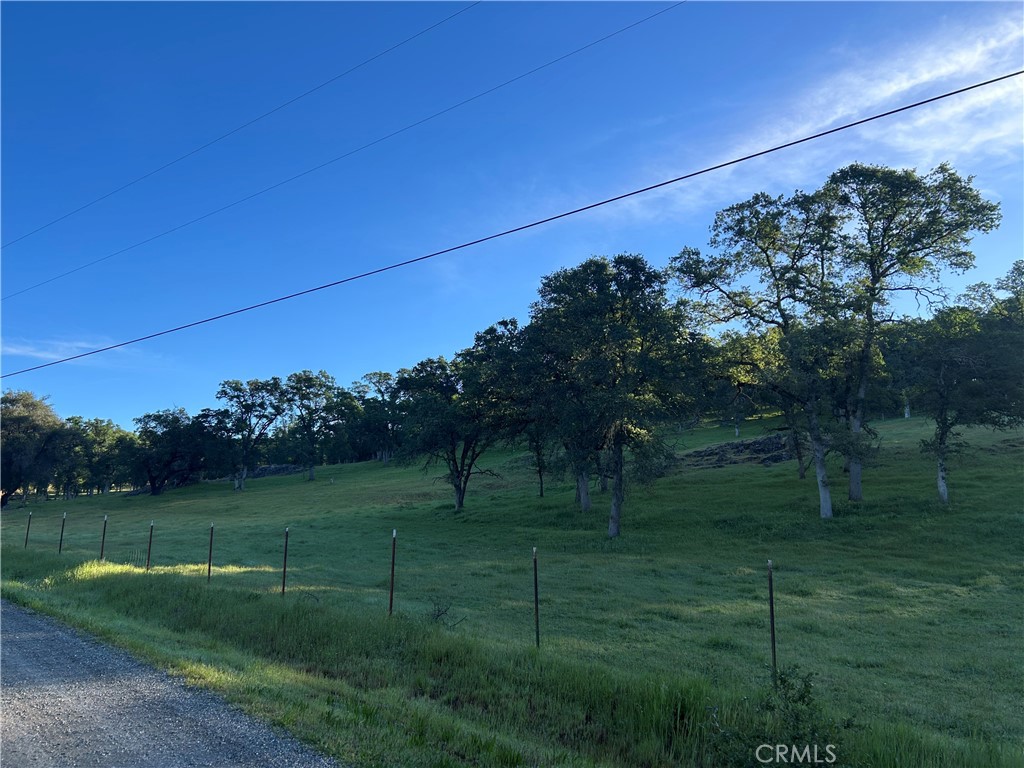 0 Rolling Oaks Property Photo 3