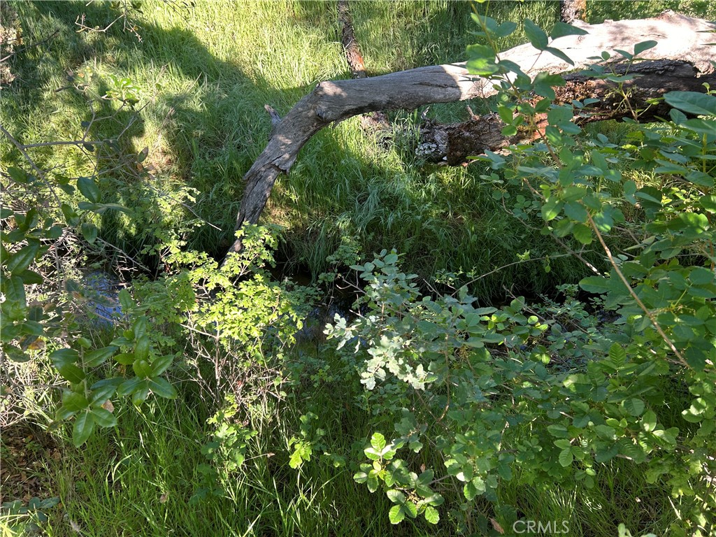 0 Rolling Oaks Property Photo 5