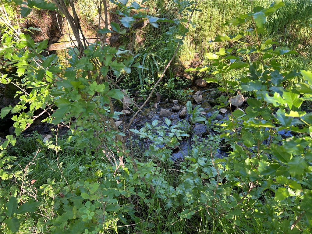 0 Rolling Oaks Property Photo 8