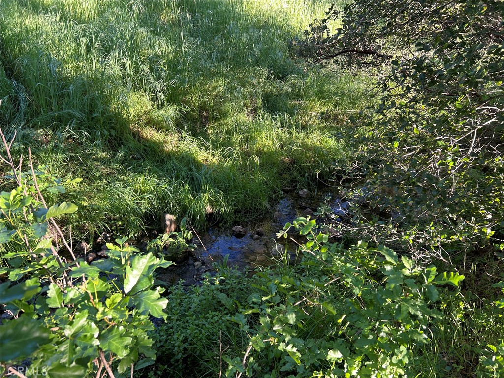 0 Rolling Oaks Property Photo 9