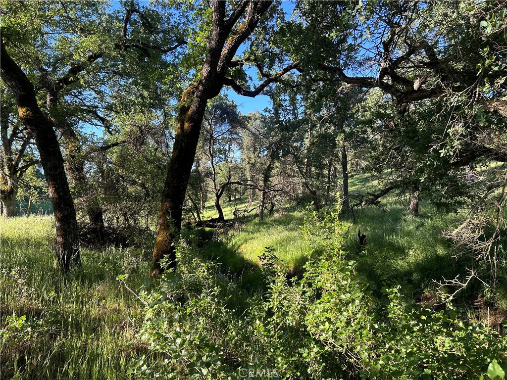 0 Rolling Oaks Property Photo 12
