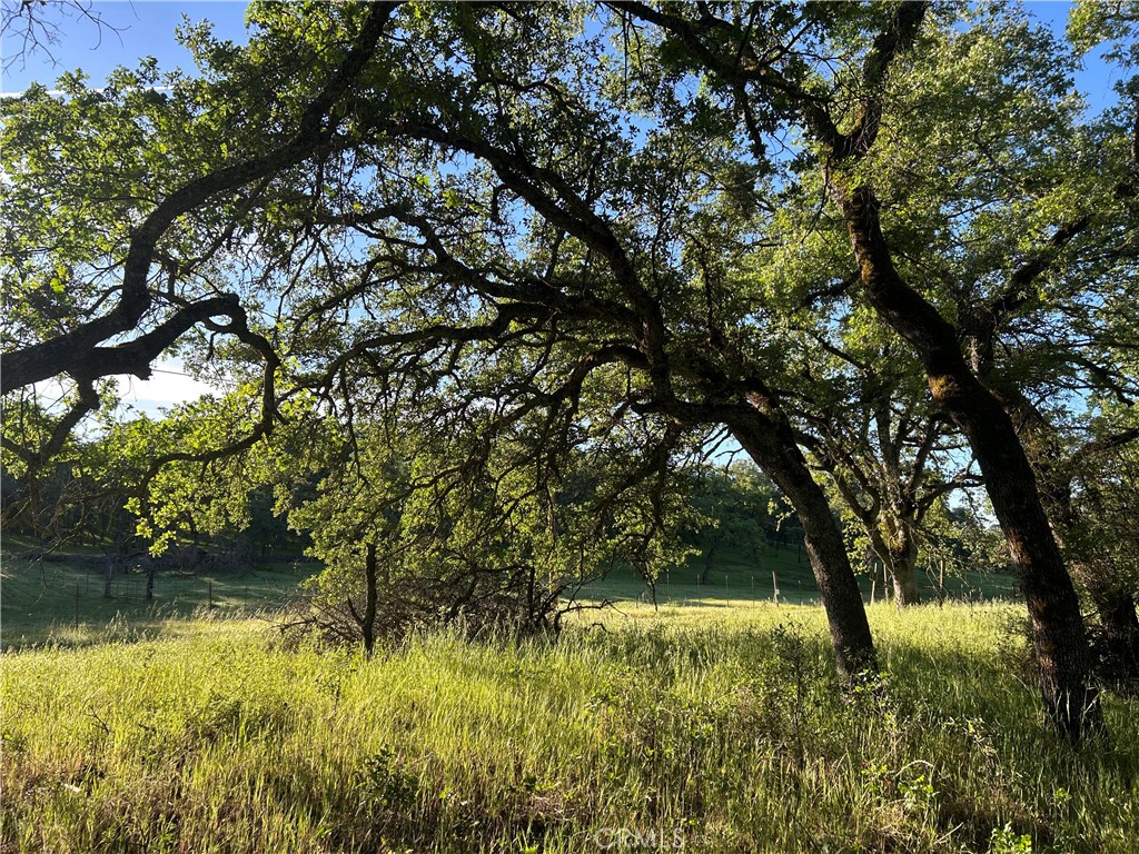 0 Rolling Oaks Property Photo 14