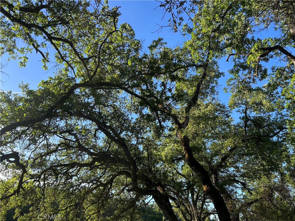 0 Rolling Oaks Property Photo 15