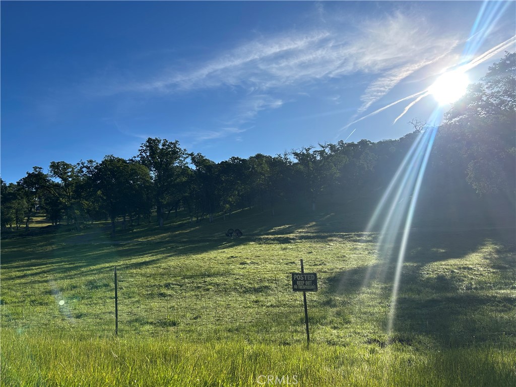 0 Rolling Oaks Property Photo 16