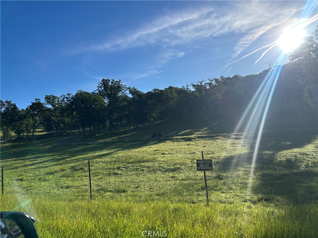0 Rolling Oaks Property Photo 17
