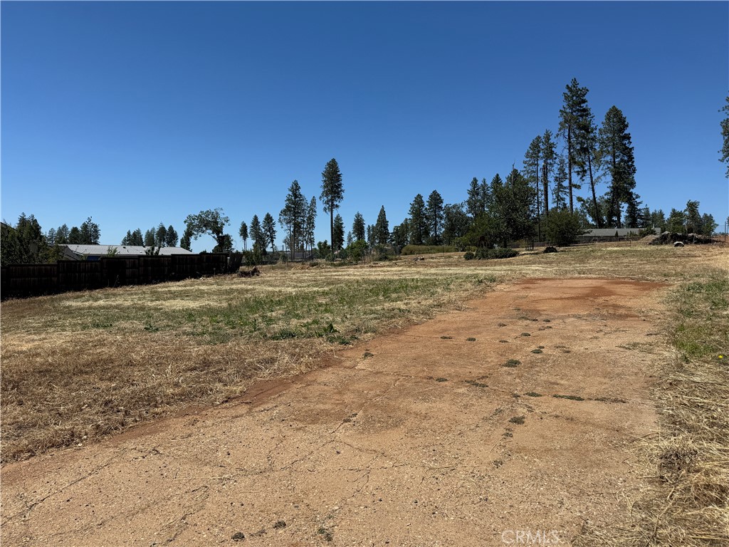 555 Primrose Property Photo 1