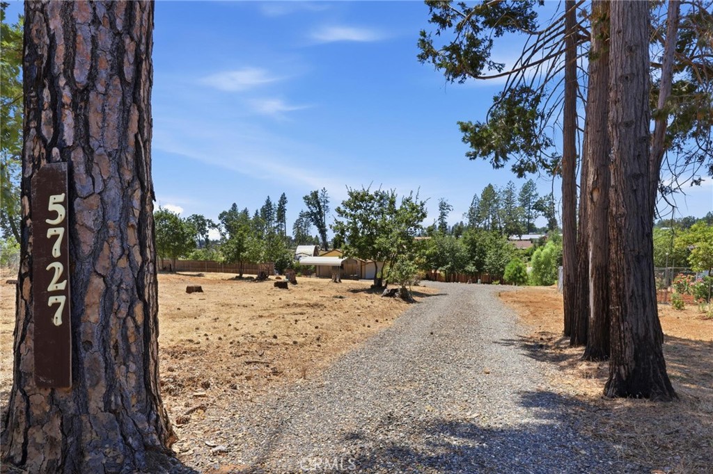 5727 Newland Road Property Photo 37