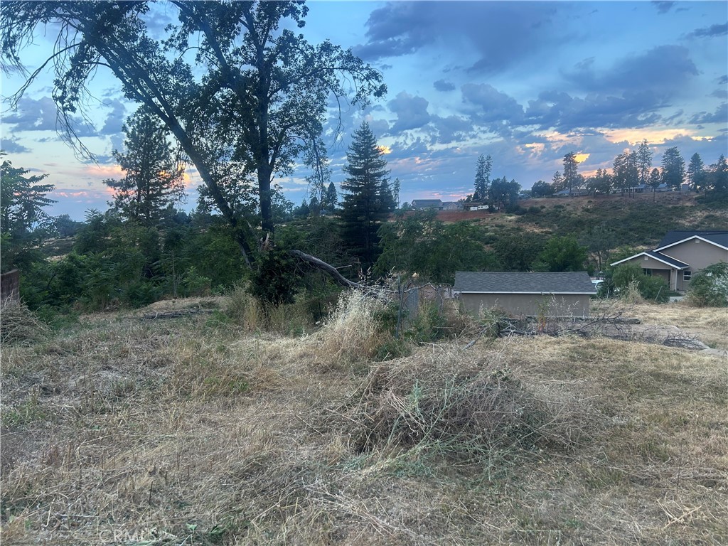 462 Horseshoe Hill Property Photo 5