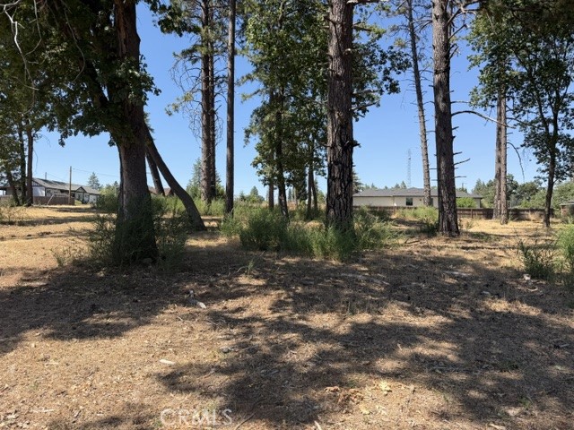 5952 Almond Property Photo 8