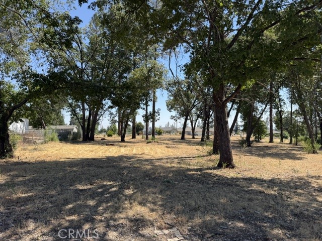 5952 Almond Property Photo 10