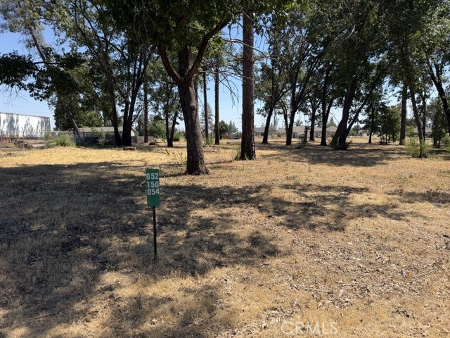 5952 Almond Property Photo 11
