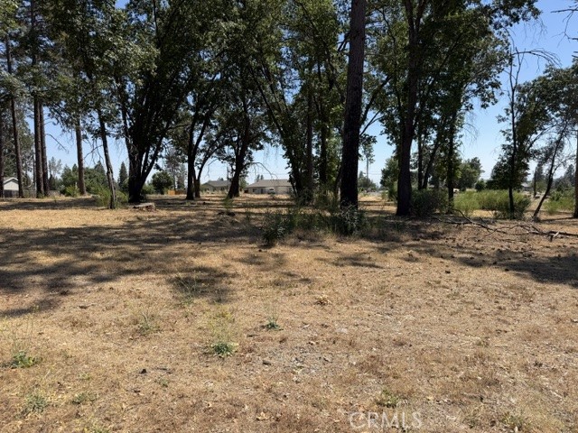 5952 Almond Property Photo 12