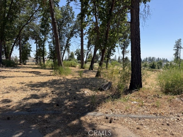 5952 Almond Property Photo 13