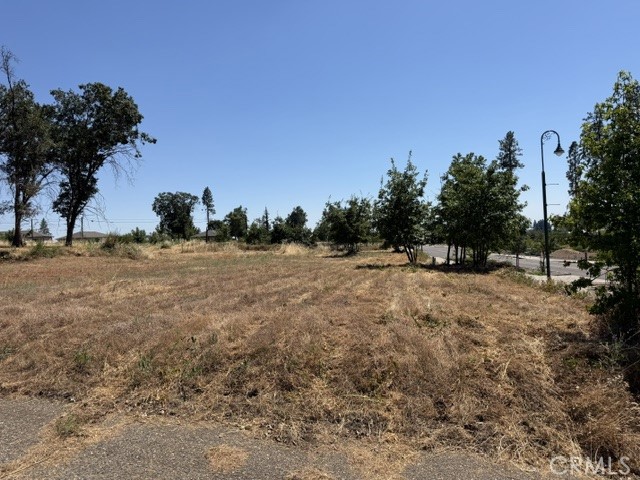 5952 Almond Property Photo 15