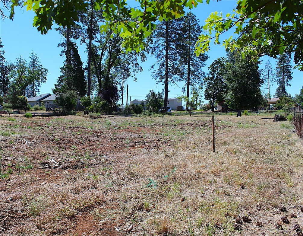 519 Valley View Property Photo 6