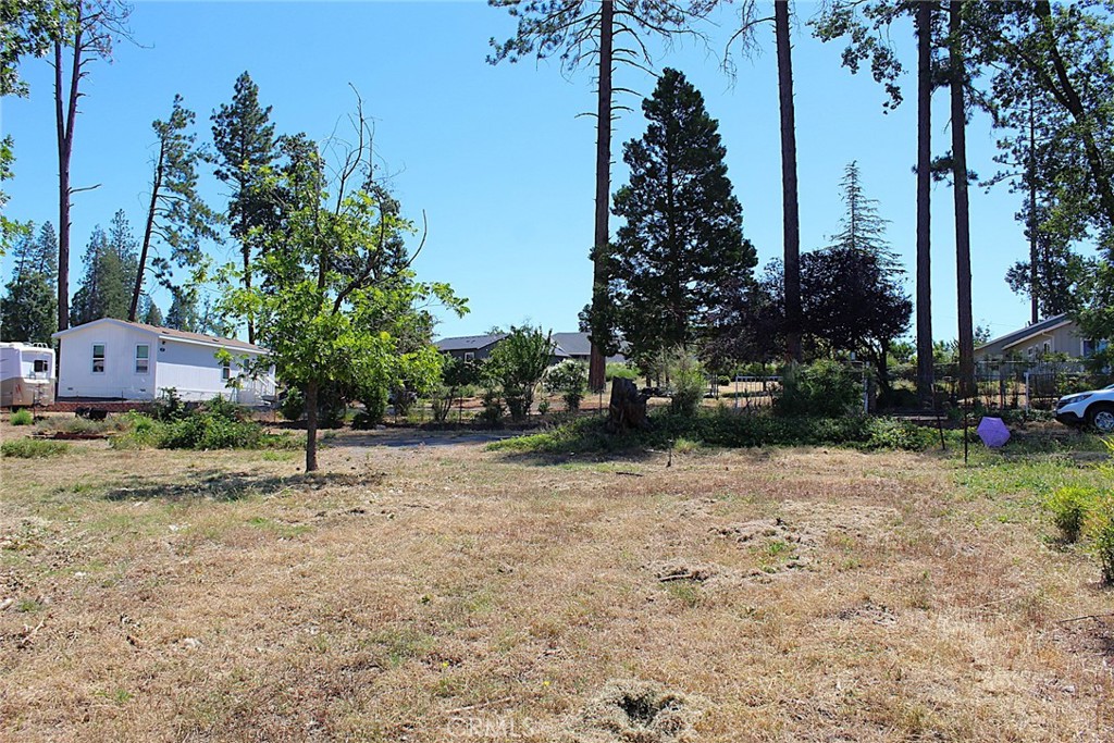 519 Valley View Property Photo 7