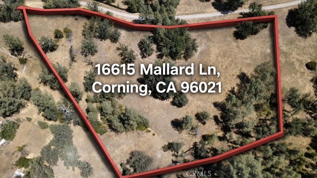 16615 Mallard Property Photo 1