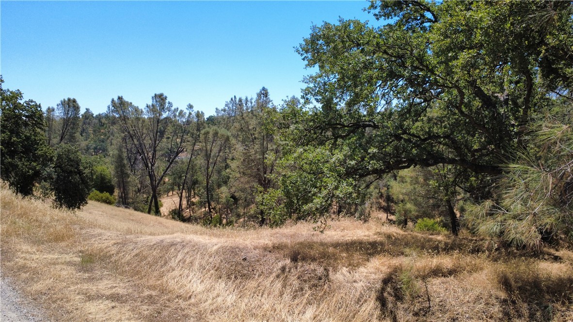 16615 Mallard Property Photo 3