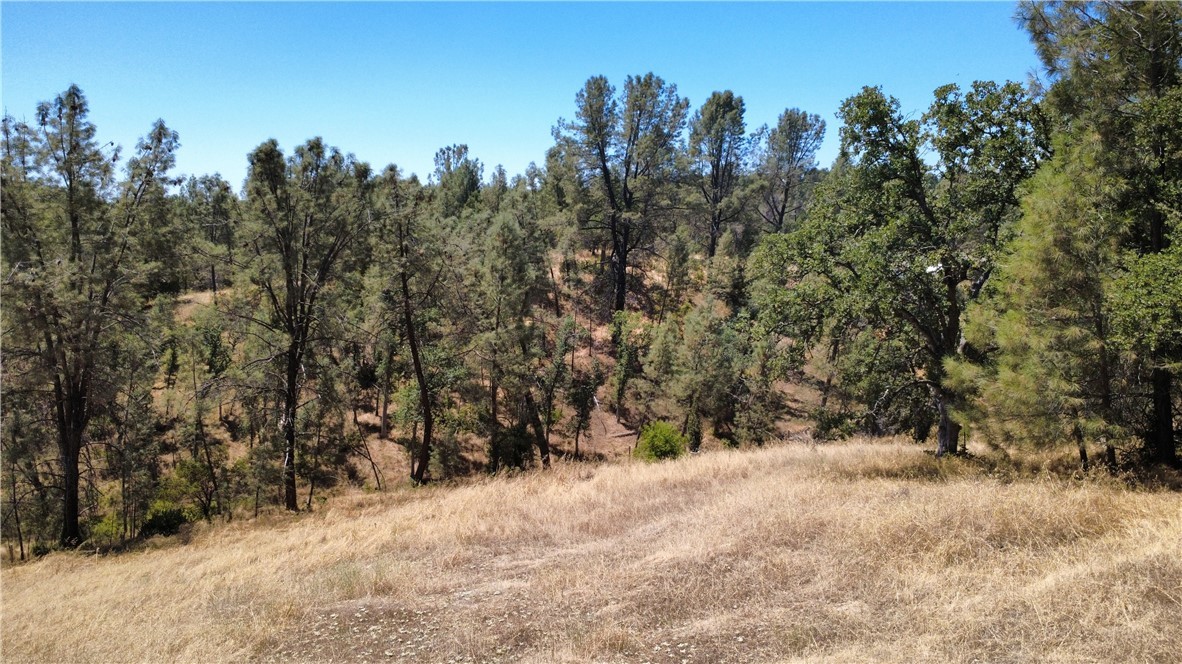 16615 Mallard Property Photo 5