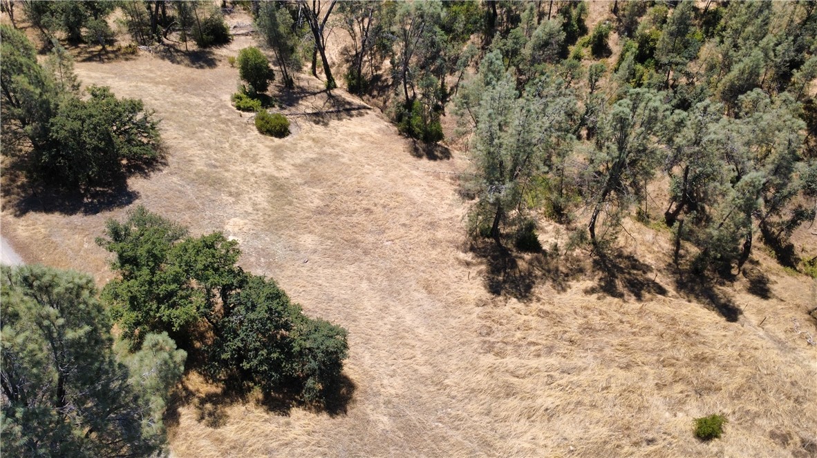 16615 Mallard Property Photo 6