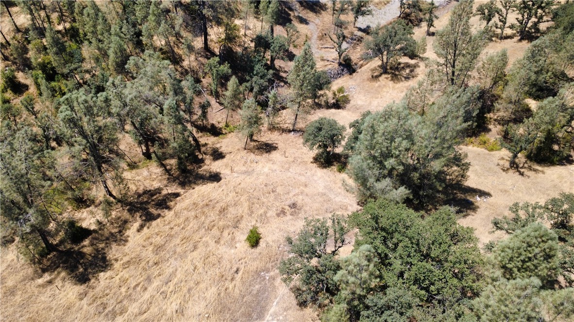 16615 Mallard Property Photo 7