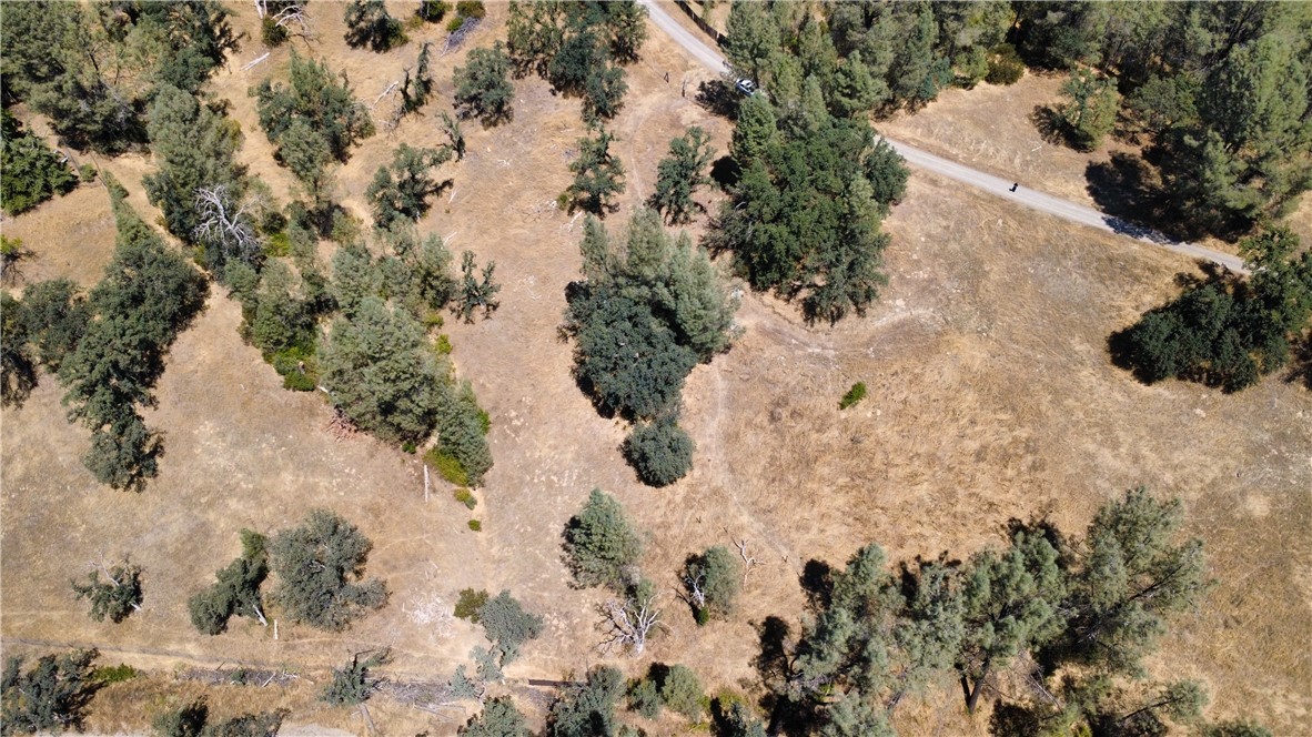 16615 Mallard Property Photo 8