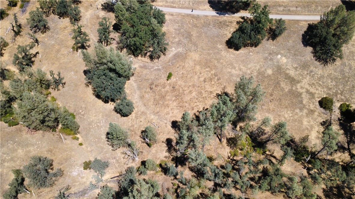 16615 Mallard Property Photo 9