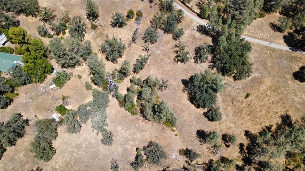 16615 Mallard Property Photo 10