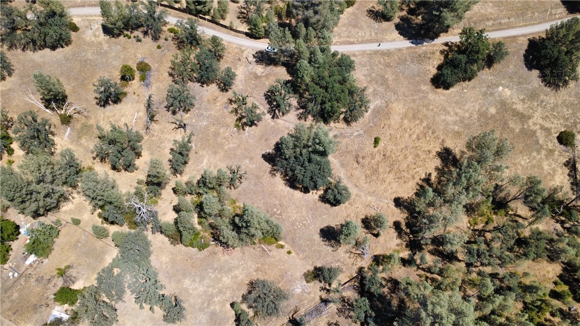16615 Mallard Property Photo 11