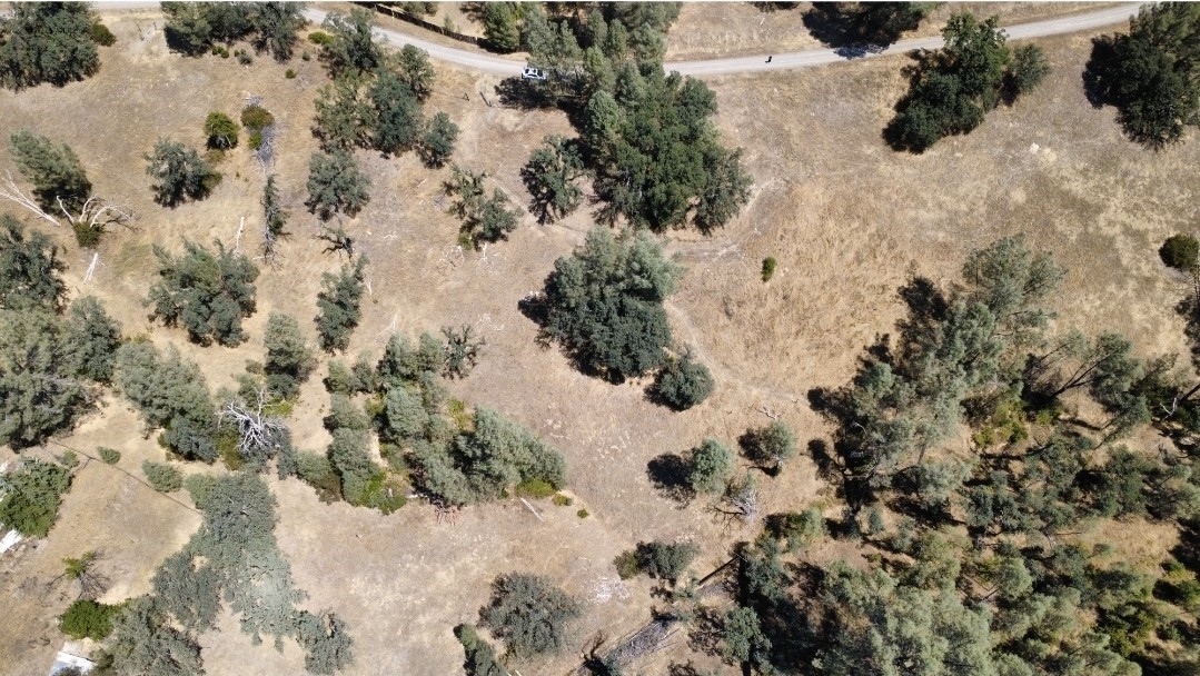 16615 Mallard Property Photo 12
