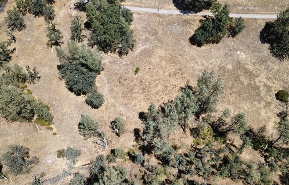 16615 Mallard Property Photo 13