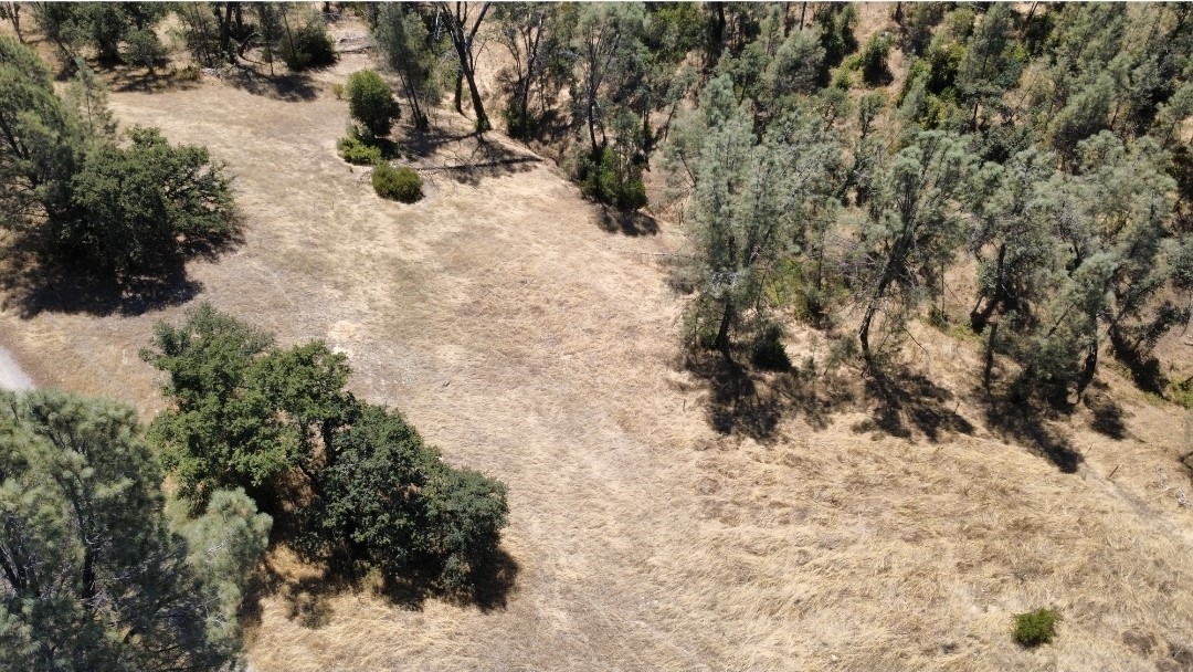 16615 Mallard Property Photo 14