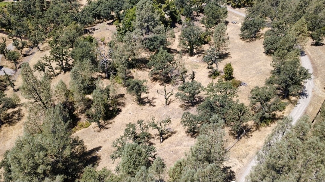 16615 Mallard Property Photo 15