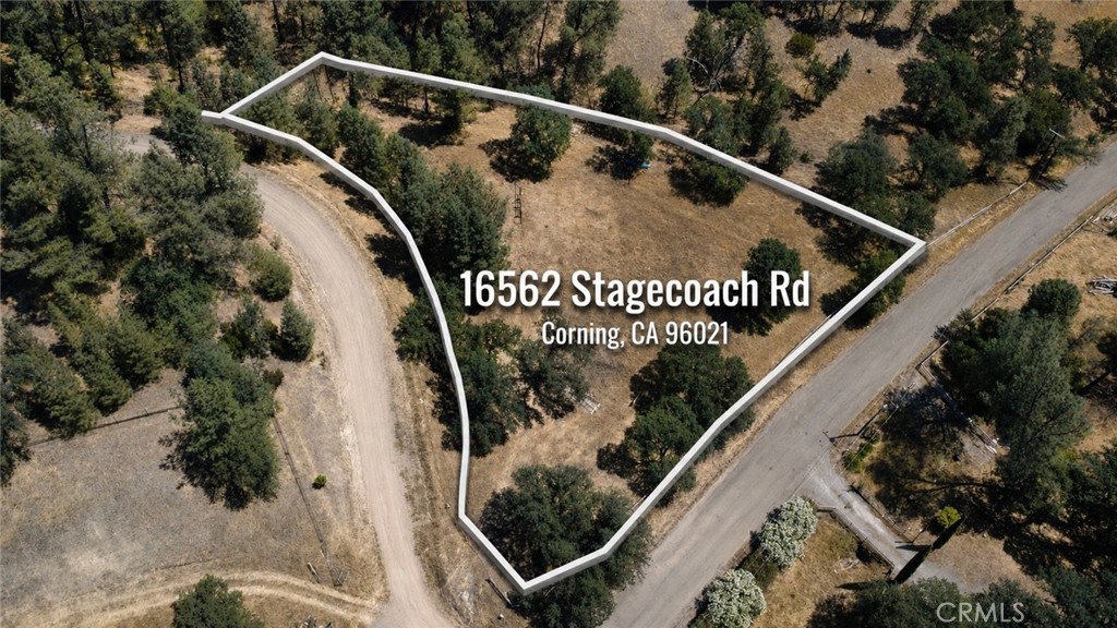 16562 Stagecoach Property Photo 1
