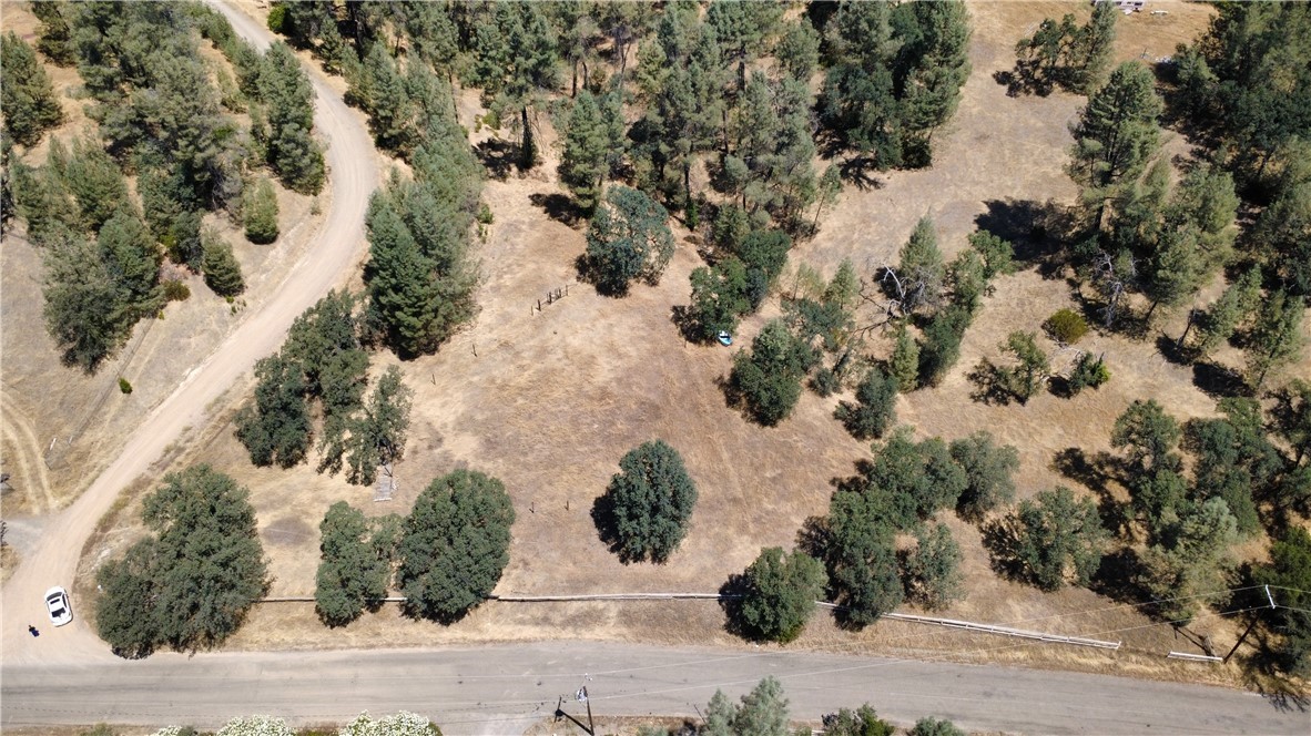 16562 Stagecoach Property Photo 4