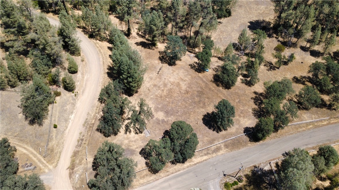 16562 Stagecoach Property Photo 5